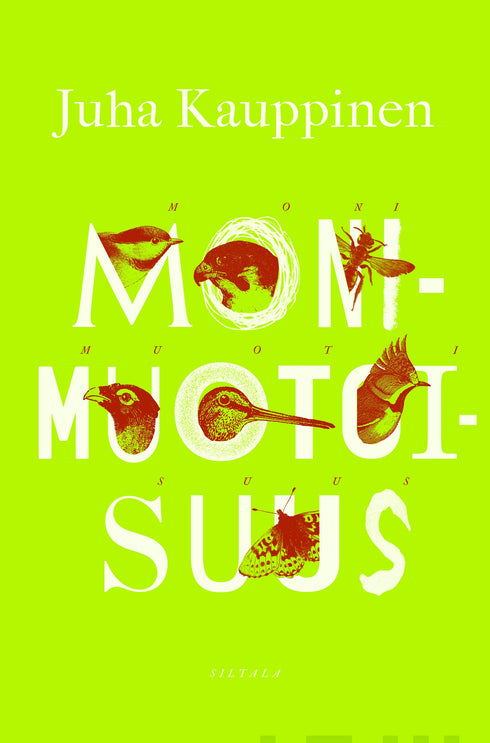 Monimuotoisuus - Juha Kauppinen 2019